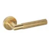 LPD Zurich Satin Gold Door Handle 180 X 137 X 65mm -House Flex Shop t.tlx UpUQ4P5.tUQA4 .Nf1U.UuI3UV. 03282.1687582365
