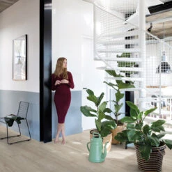 Quick Step Pulse Click Plus Cotton Oak Warm Grey Livyn Vinyl Flooring (2.220m2) -House Flex Shop t.tlx jUjt83q.sjttM61lrj.jnzHjG. 79577.1687591386