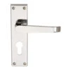 Victorian Straight Door Lever On Backplate Lock Furniture Chrome (Pair) -House Flex Shop t.tlx kfkLMC0.1kLLuTqWuk.kjHFkY. 15133.1687589708